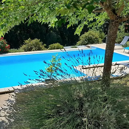 Prestige La Douze